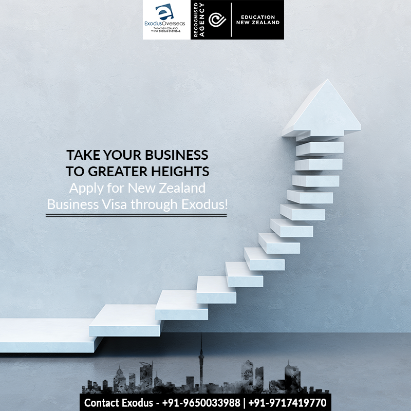 Take your business to new heights with these services